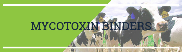 mycotoxin binders